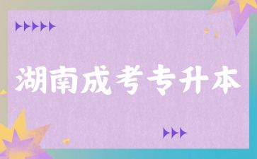 湖南成考專升本.jpg