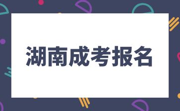湖南成考報名